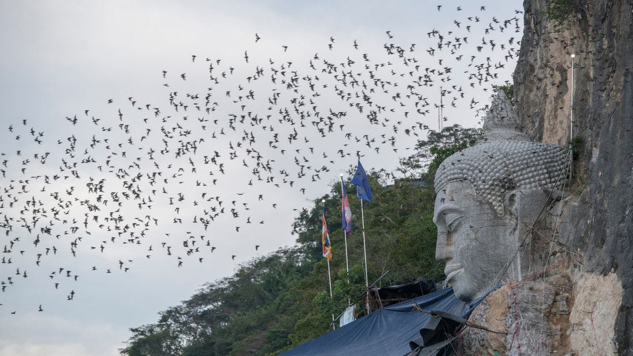 Exploring the Bat Caves of Battambang